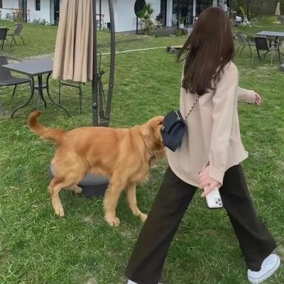 我的修真靠抽卡