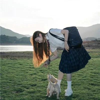 哨兵