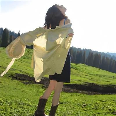 纽约小匪战黑帮